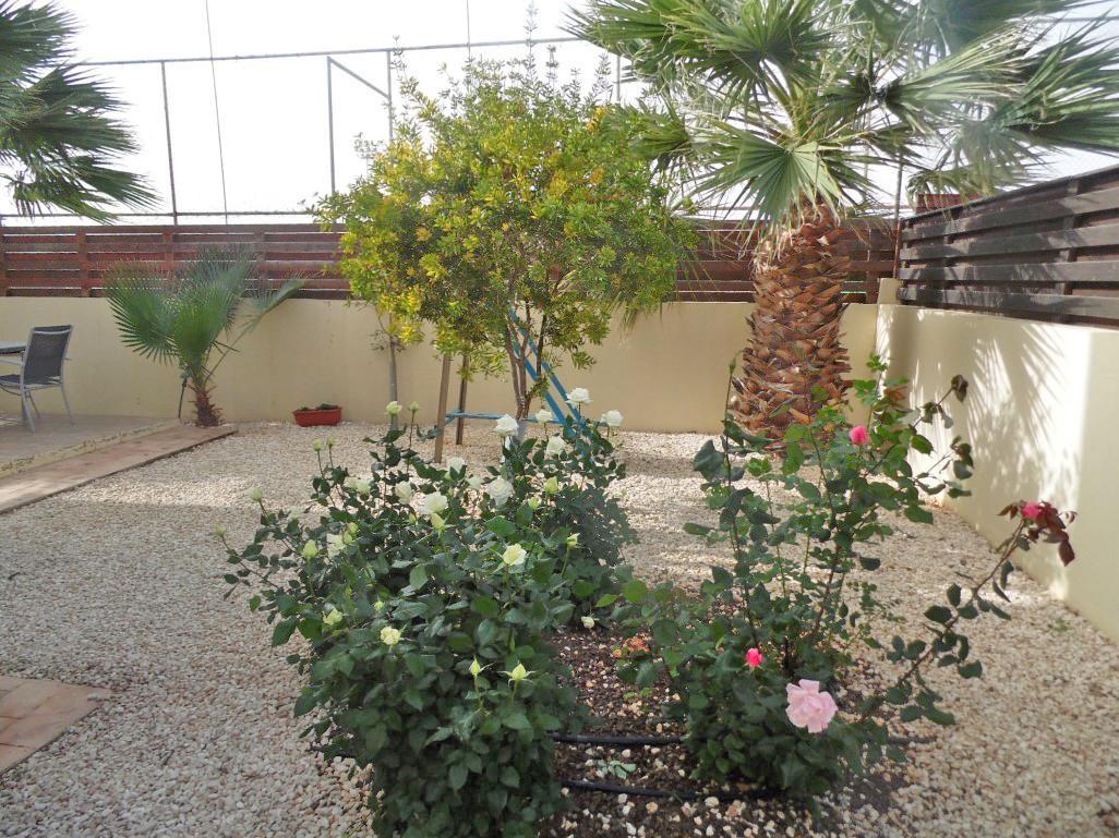 Villa Favor - 3 Bed With Pool Close To Nissi Beach Ajía Nápa Kültér fotó